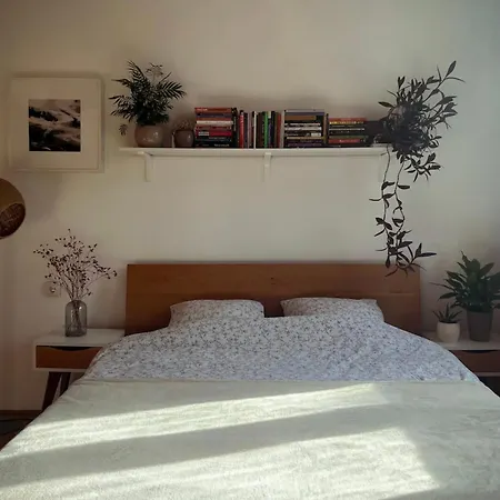Apartment Dorcol Hip Stylish